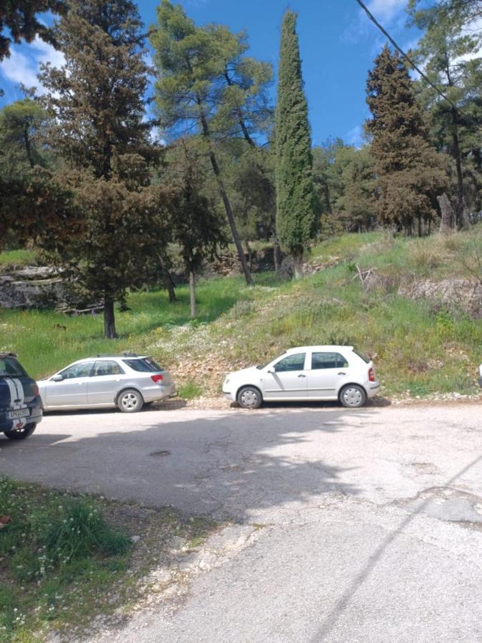 ヨアニナΈνα Μέρος Για Ήσυχες Διακοπέςアパートメント エクステリア 写真